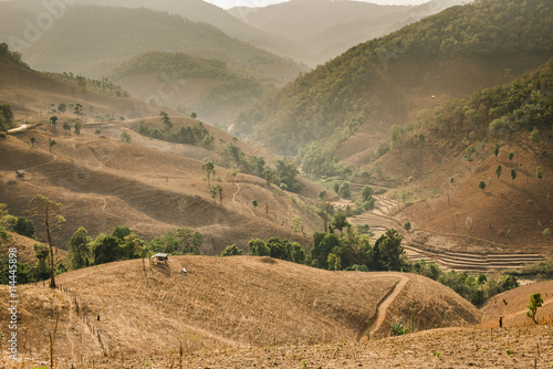 Mountain destroyed by human for cultivate plants.
