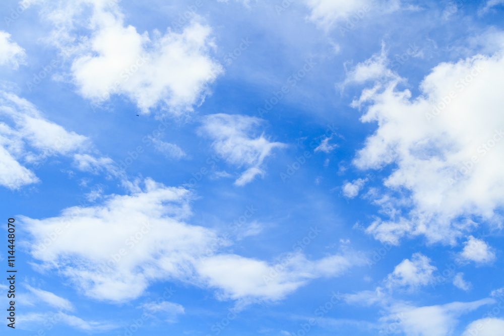 Obraz premium Sky and cloud / Blue sky and white cloud on summer. Good weather day background with copy space.