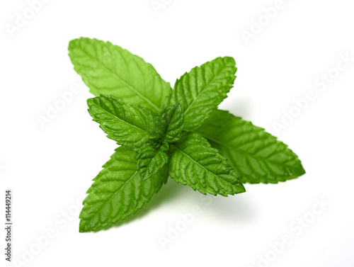 peppermint leaves
