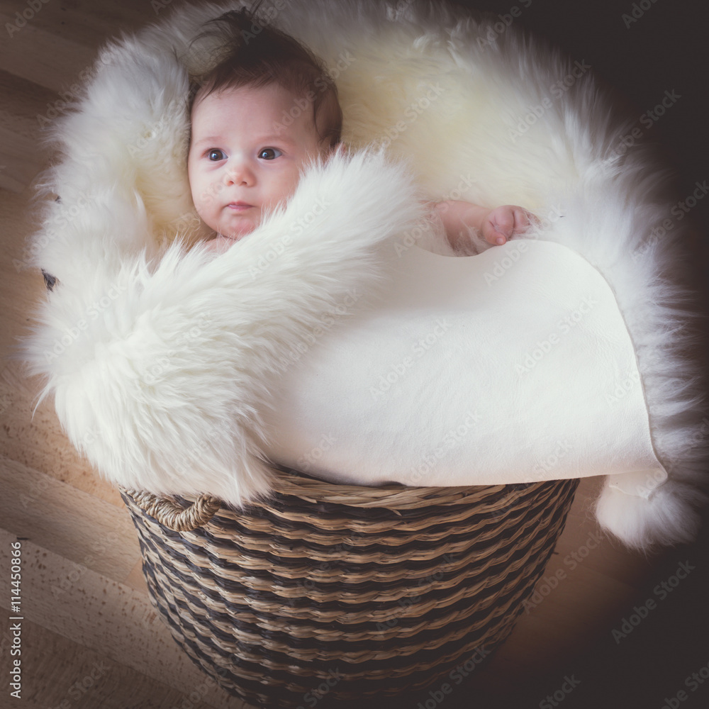 Newborn baby in basket,cute baby girl in basket Stock Photo | Adobe Stock