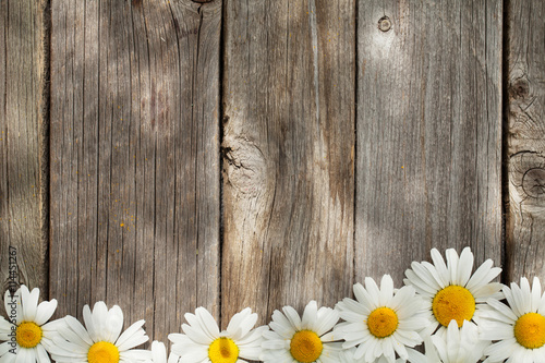 Fototapeta Naklejka Na Ścianę i Meble -  Daisy chamomile flowers on wood