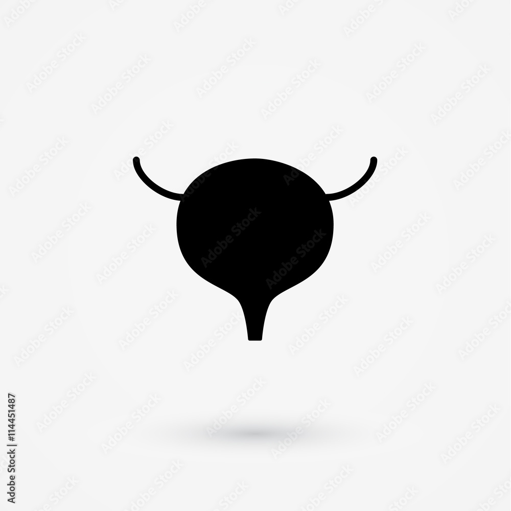 Vector bladder icon Vector bladder icon