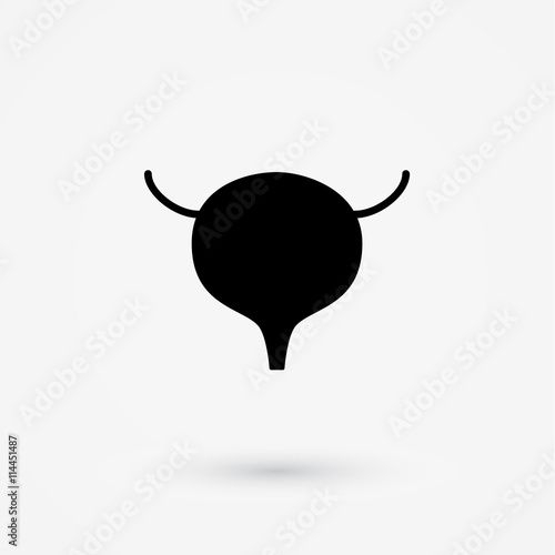 Vector bladder icon