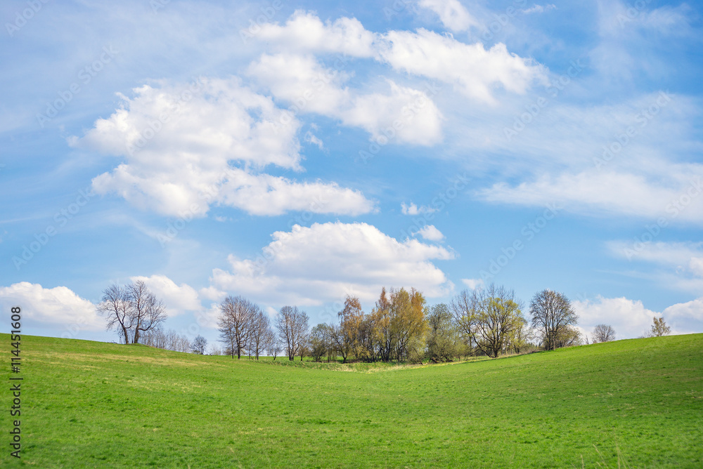 Fototapeta premium Green landscape hill meadow blue sky background