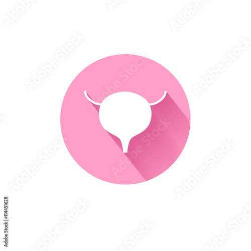 Vector bladder icon