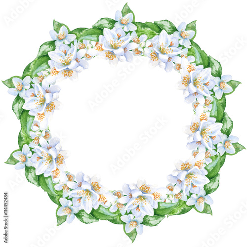 wreath of twigs of jasmine. isolated. watercolor illustration.