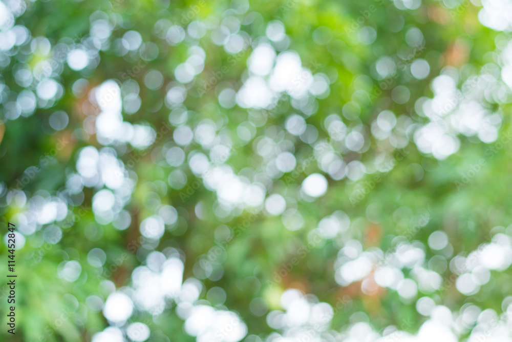 abstract green nature background, abstract green nature background,