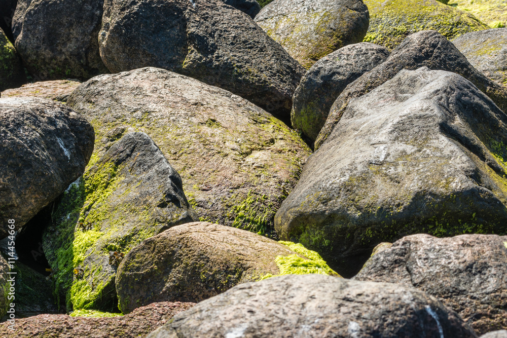 Rocks Rocks