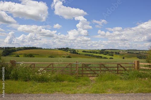 scenic landscape with new fence
