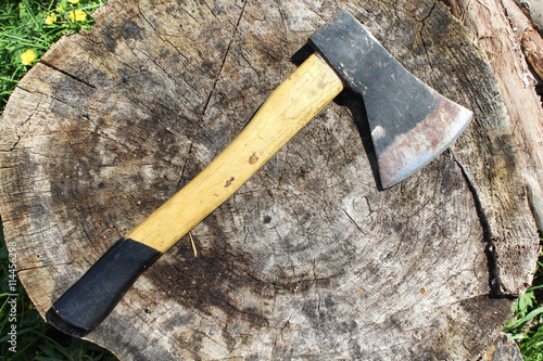 The old axe on the log