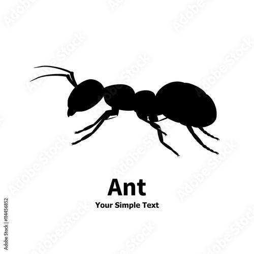 Vector illustration silhouette of ant