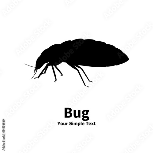 Vector illustration silhouette bed bug