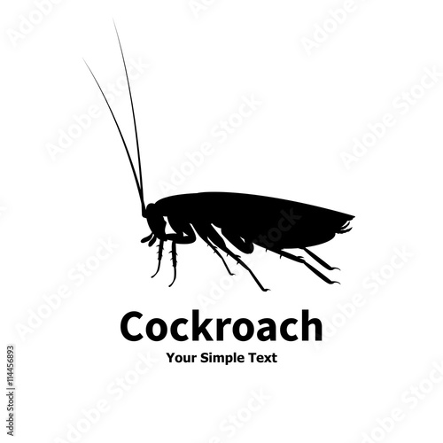 Vector illustration of a silhouette of a cockroach