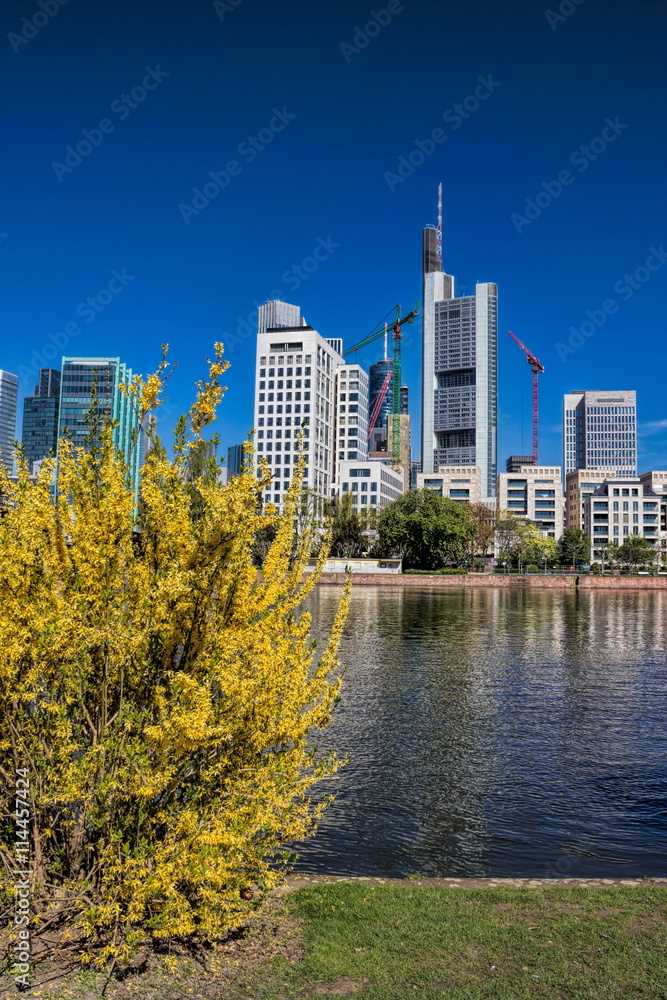 Fototapeta premium Frankfurt am Main
