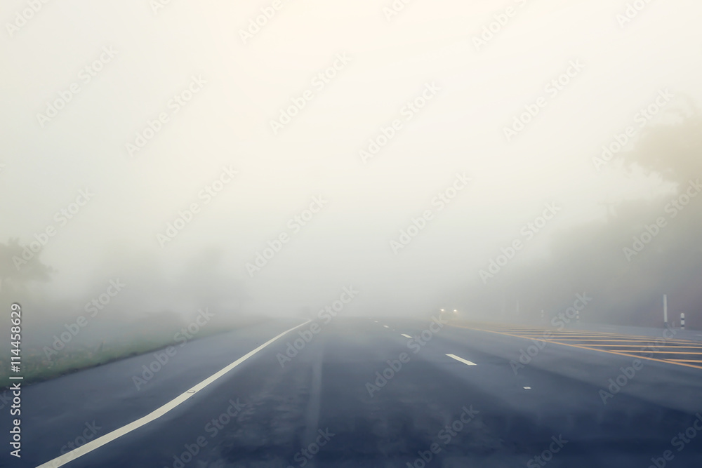 Fototapeta premium road in the fog.