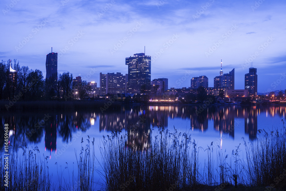 Fototapeta premium Skyline of Donau City - Vienna DC