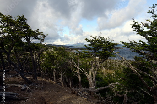 The Lago Blanco on the island of Tierra del Fuego. © b201735