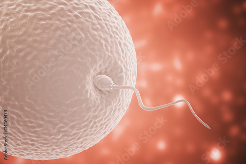 Conception on red background