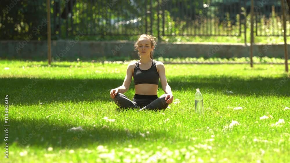 Pretty Girl is doing Yoga in Park. Pretty Girl is doing Yoga in Park.