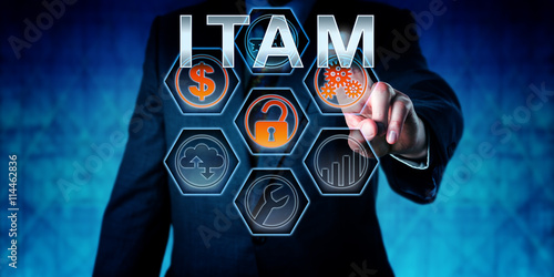 Business Person Touching ITAM photo