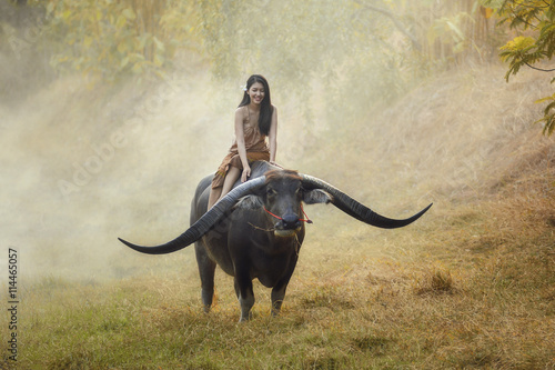 Young woman sitting on buffalo photo