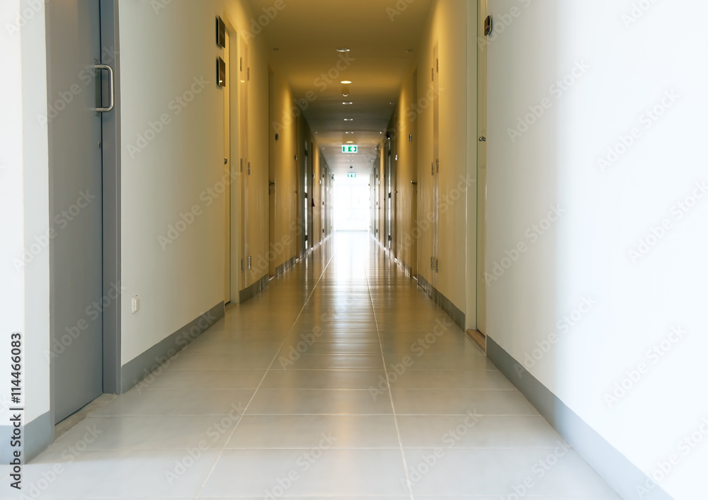 Empty corridor / Empty corridor of apartment building.