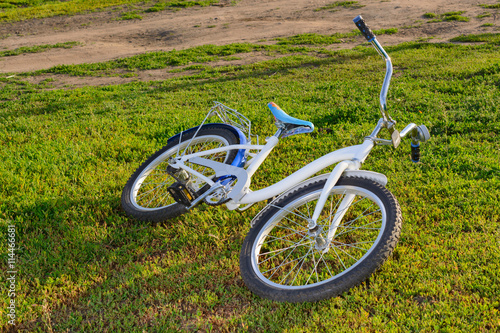 Bicycle lying on the grass