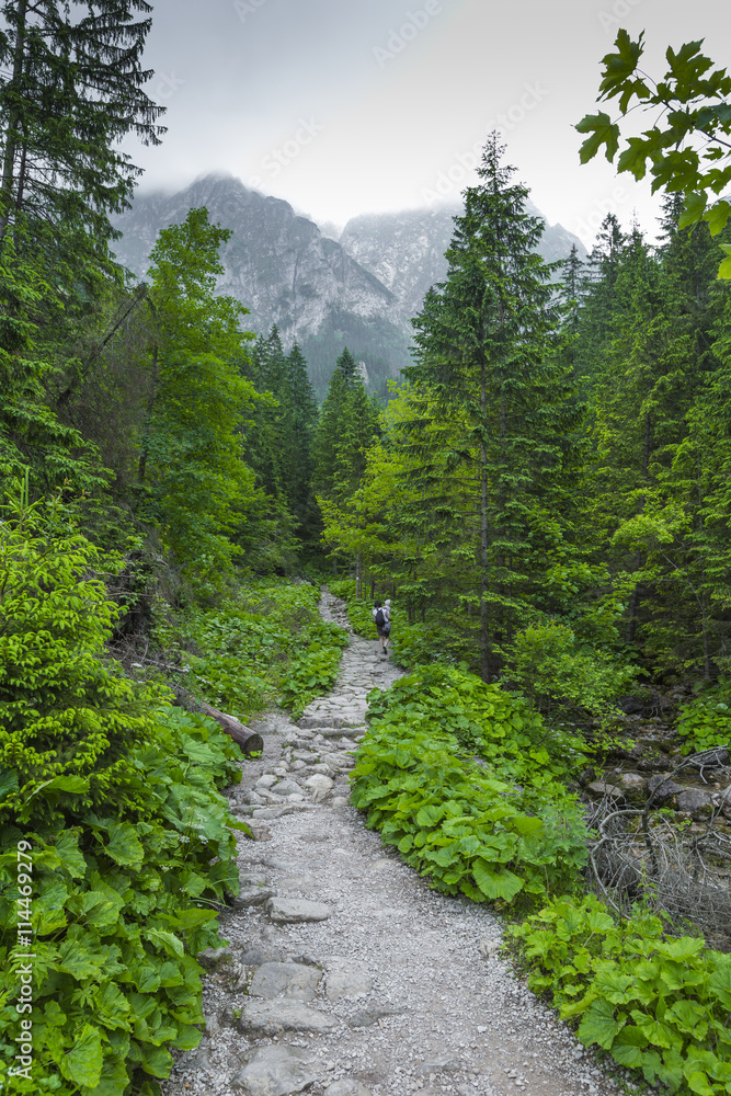 Fototapeta premium Tatra Mountains. Tatra National Park