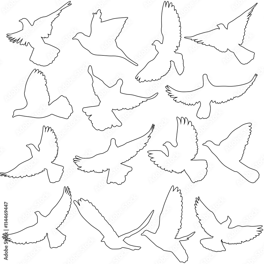 Concept of love or peace. Set of silhouettes of doves. Vector il