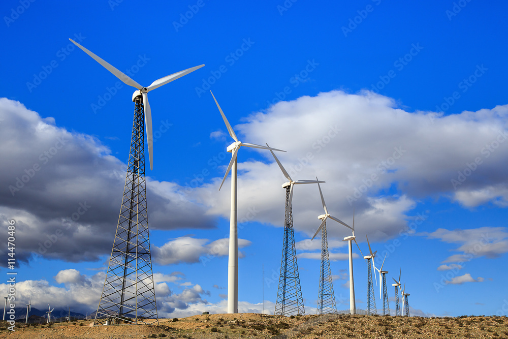Green energy field Green energy field