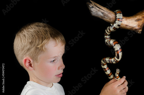 little boy and king snake Over Black Background