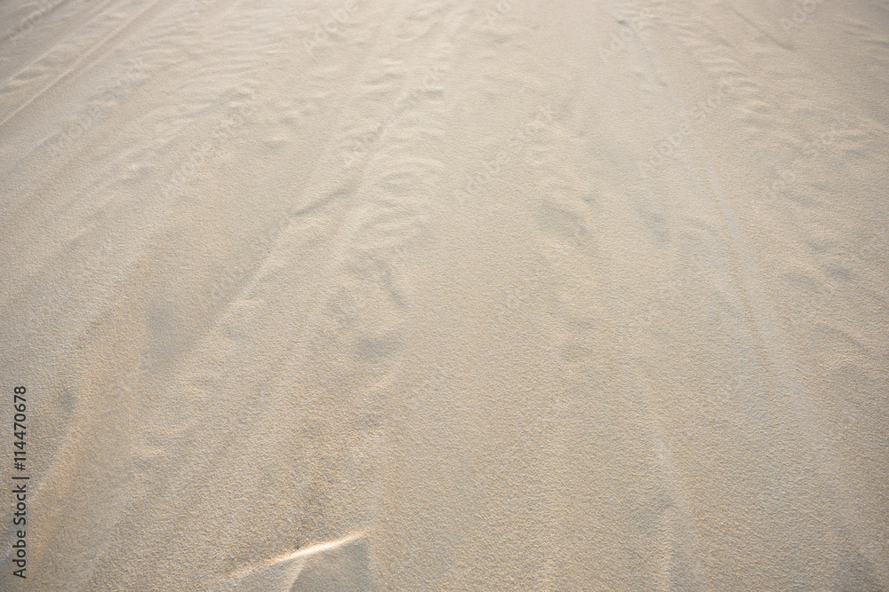 Obraz premium The dune of Pyla, Europe's highest dune