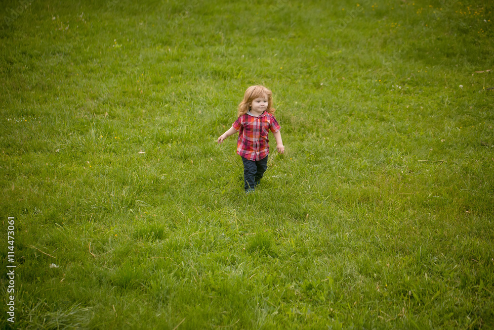 small boy on green grass