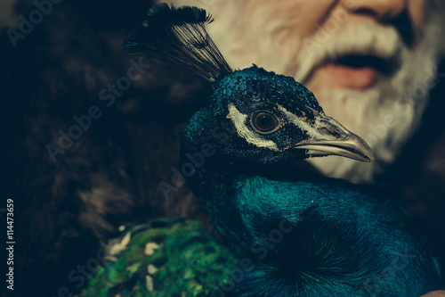 bearded man with peacock