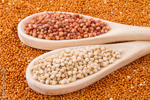 gluten free grains, millet, sorghum and linseed spoon on wooden natural background