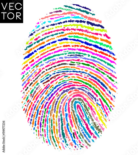 Colorful fingerprint, finger print vector illustration