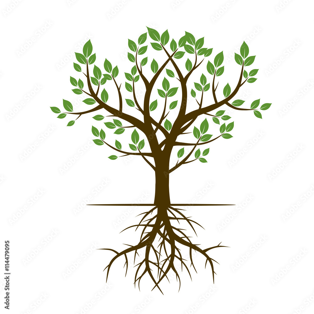 Tree and Roots. Vector Illustration. Tree and Roots. Vector Illustration.