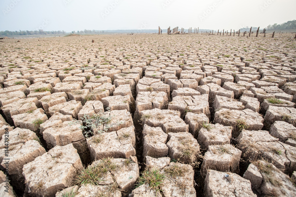 Fototapeta premium Cracked dry land without water.Abstract background.