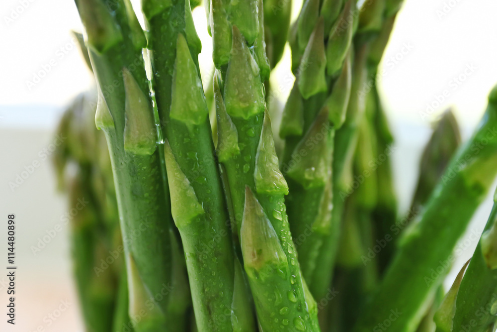 Fototapeta premium Asparagus, closeup