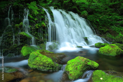 夏の元滝伏流水