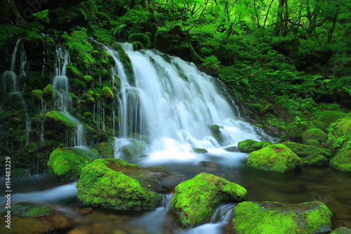 夏の元滝伏流水