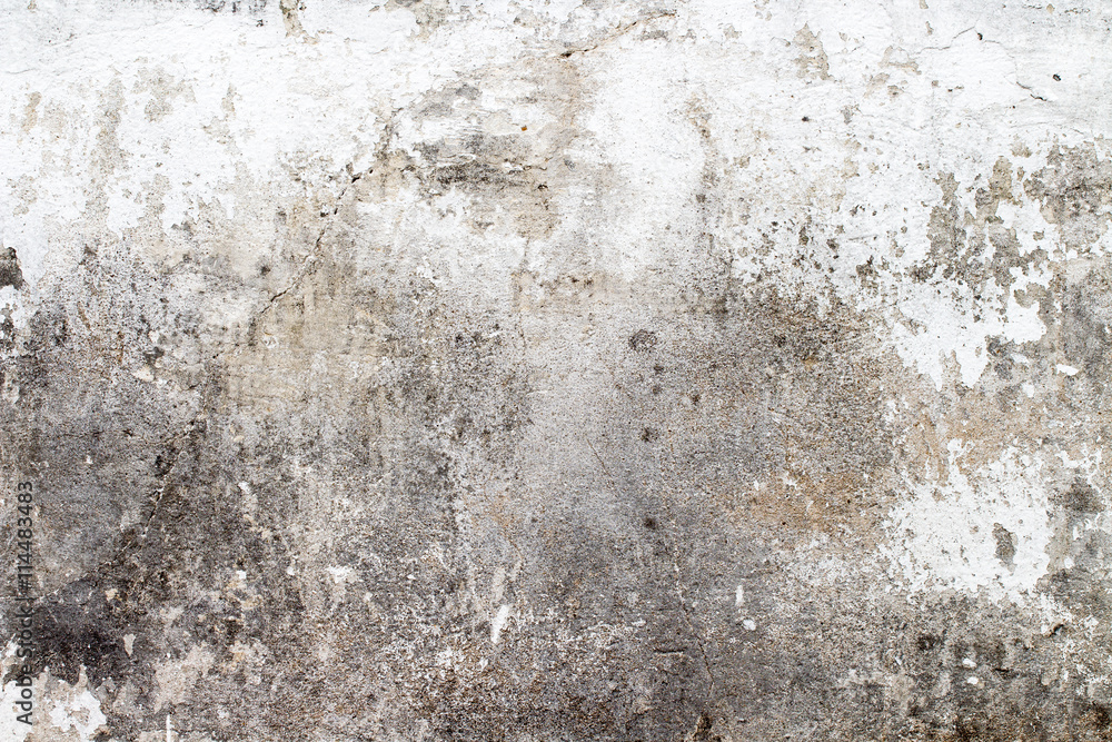 Obraz premium white concrete wall texture