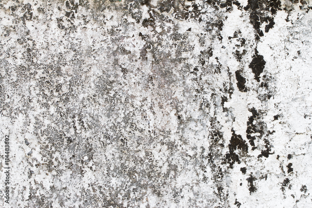 Fototapeta premium white concrete wall texture