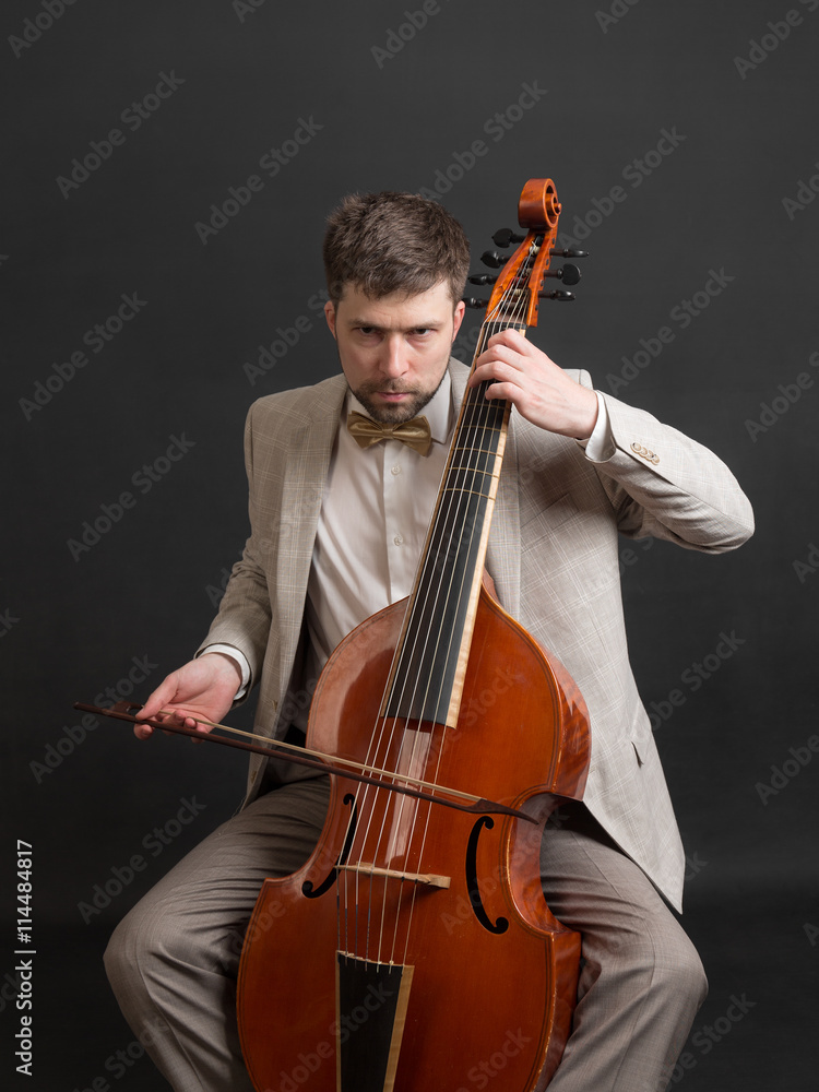 Εκτύπωση καμβά musician playing the viola da gamba