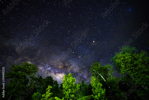 Part of a night sky with stars and Milky Way on equatorial latitude with green tropical trees below