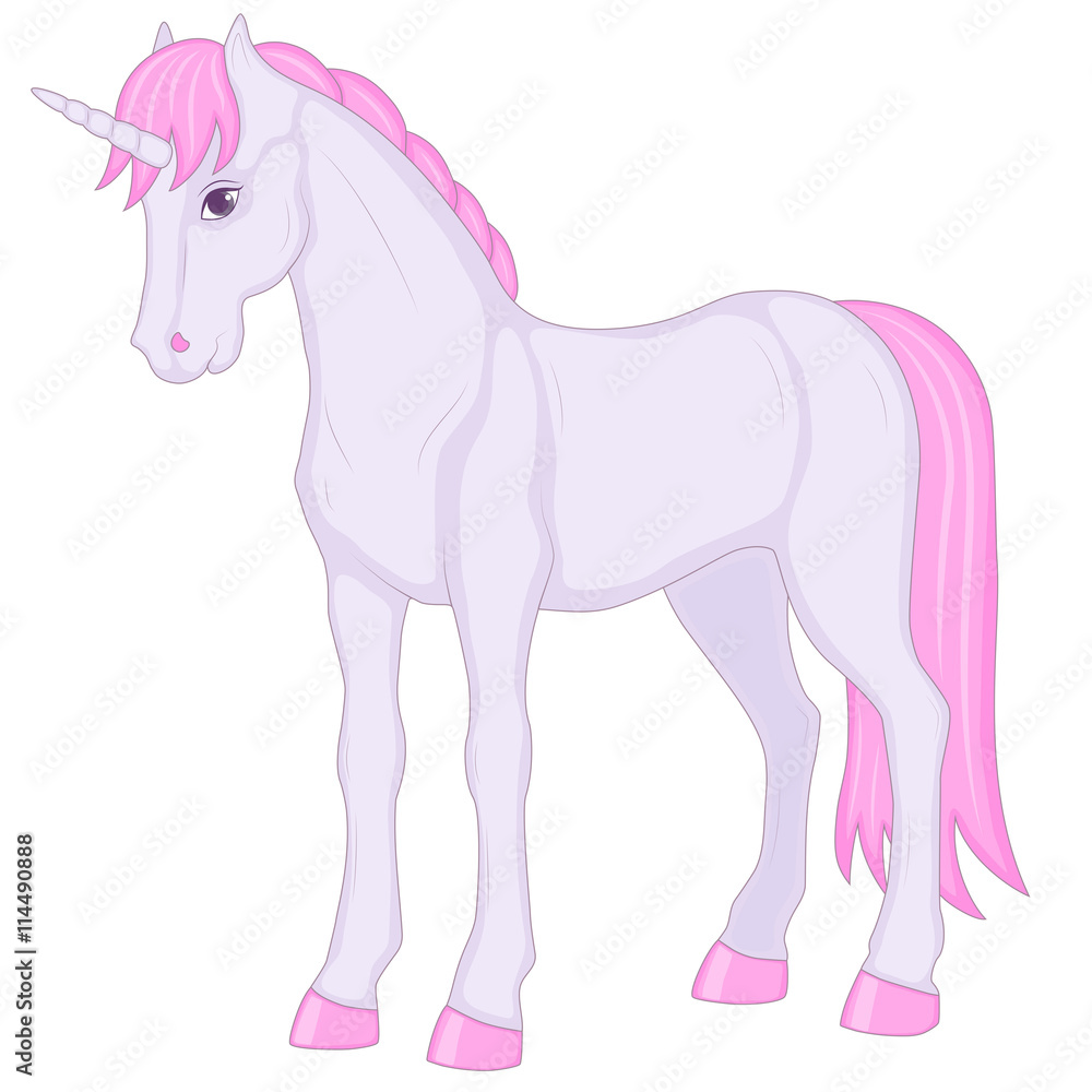 Obraz premium unicorn