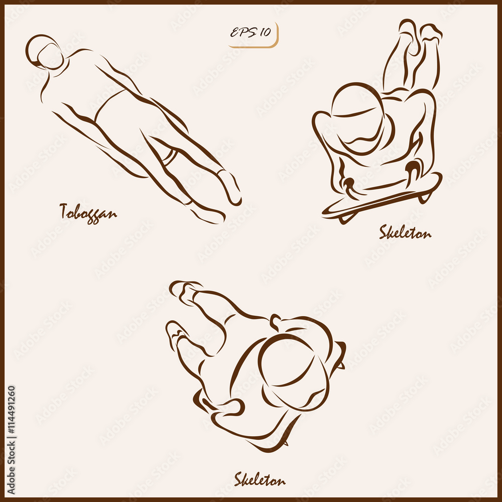 Set of a vector Illustration shows a Winter Sports. Skeleton and