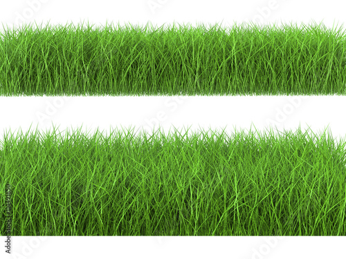 Konstfotografi green grass side view