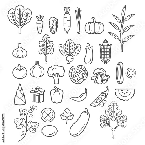 Vegetables icons. Vector Illustration.