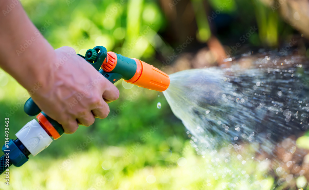 Gun nozzle hose water sprayer watering garden - obrazy, fototapety, plakaty 